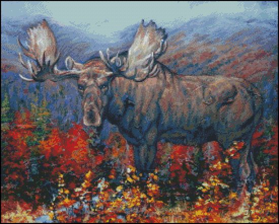 Adirondack Autumn Moose
